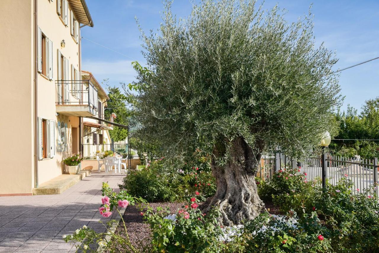 Villa Scarponi Assisi Dış mekan fotoğraf